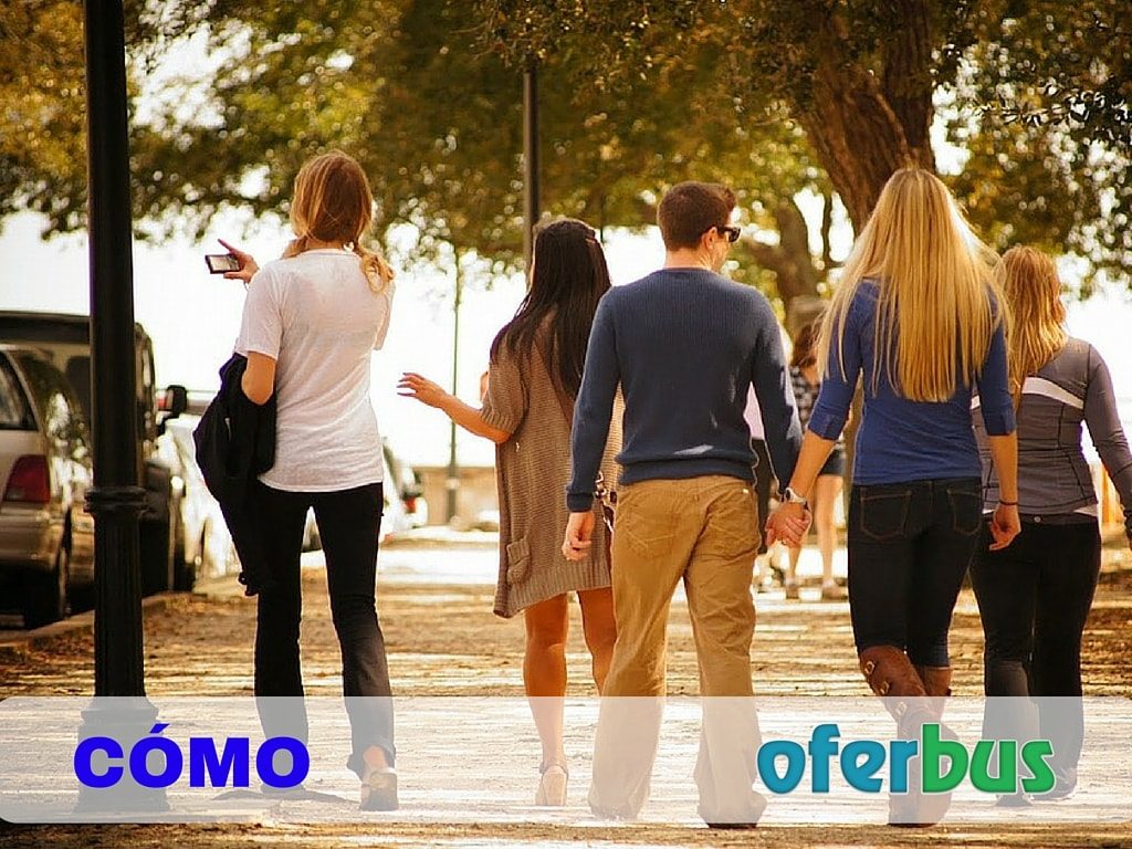 Como pido presupuesto en Oferbus